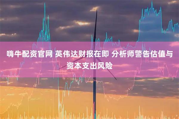 嗨牛配资官网 英伟达财报在即 分析师警告估值与资本支出风险