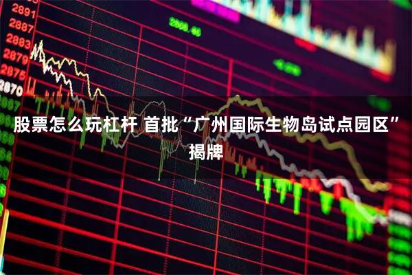 股票怎么玩杠杆 首批“广州国际生物岛试点园区”揭牌