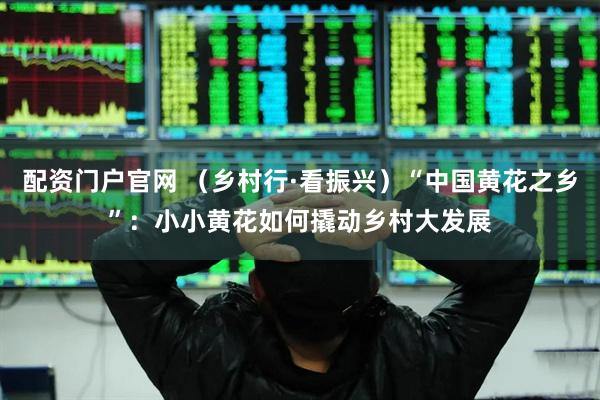 配资门户官网 （乡村行·看振兴）“中国黄花之乡”：小小黄花如何撬动乡村大发展