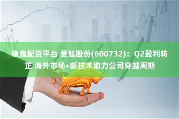 稳赢配资平台 爱旭股份(600732)：Q2盈利转正 海外市场+新技术助力公司穿越周期
