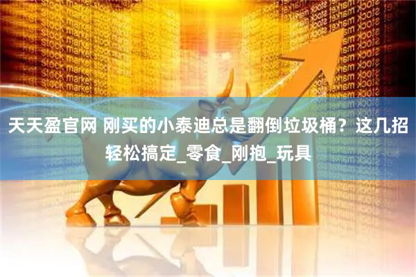 天天盈官网 刚买的小泰迪总是翻倒垃圾桶？这几招轻松搞定_零食_刚抱_玩具