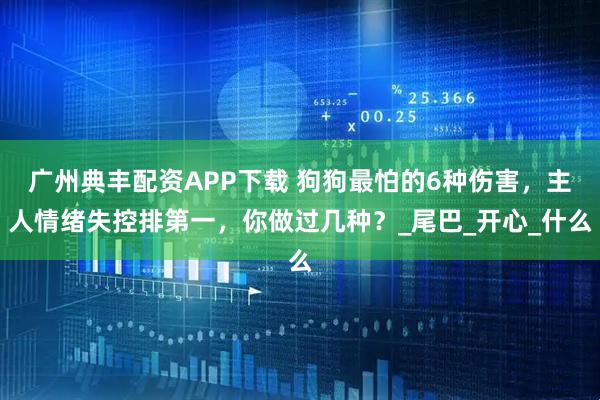 广州典丰配资APP下载 狗狗最怕的6种伤害，主人情绪失控排第一，你做过几种？_尾巴_开心_什么
