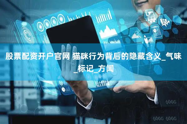 股票配资开户官网 猫咪行为背后的隐藏含义_气味_标记_方闻