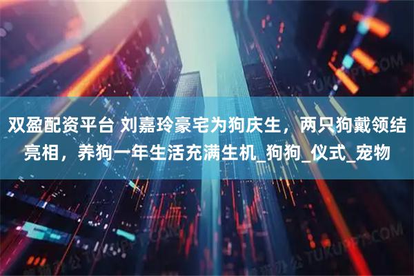 双盈配资平台 刘嘉玲豪宅为狗庆生，两只狗戴领结亮相，养狗一年生活充满生机_狗狗_仪式_宠物
