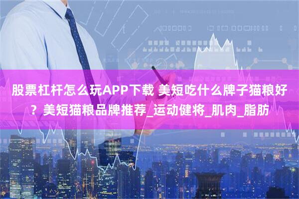 股票杠杆怎么玩APP下载 美短吃什么牌子猫粮好？美短猫粮品牌推荐_运动健将_肌肉_脂肪