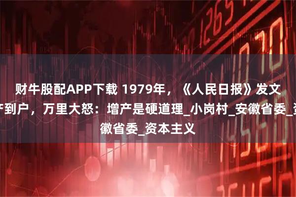财牛股配APP下载 1979年，《人民日报》发文痛批包产到户，万里大怒：增产是硬道理_小岗村_安徽省委_资本主义