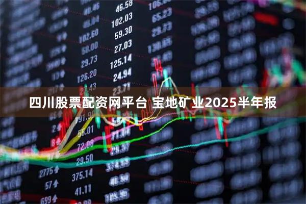 四川股票配资网平台 宝地矿业2025半年报