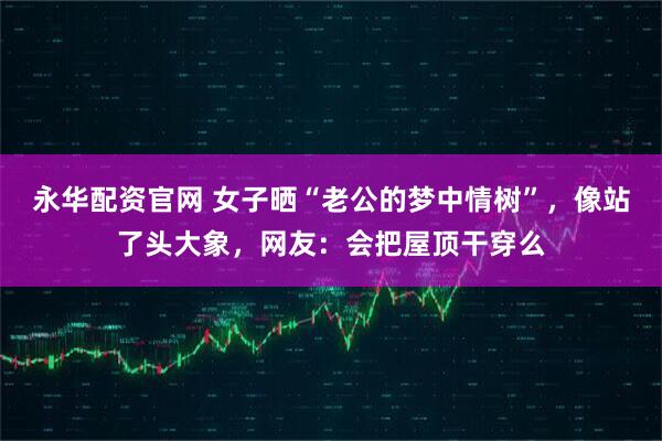 永华配资官网 女子晒“老公的梦中情树”，像站了头大象，网友：会把屋顶干穿么